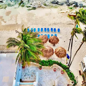 Отель Pelicano - Beachfront, Плая-дель-Кармен